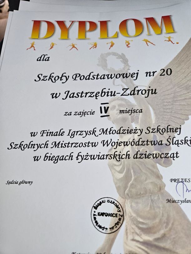 lyz4.jpg