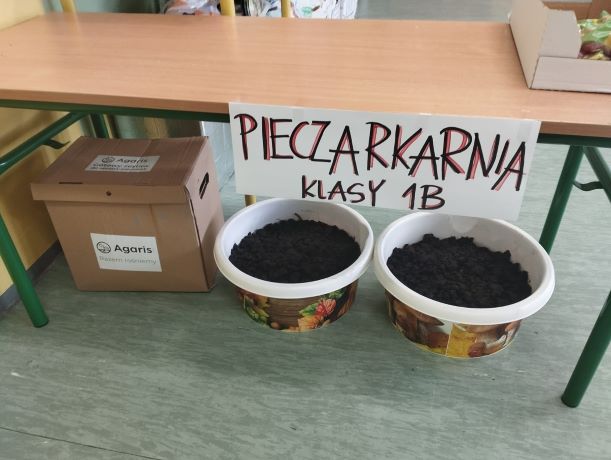 piec5.jpg
